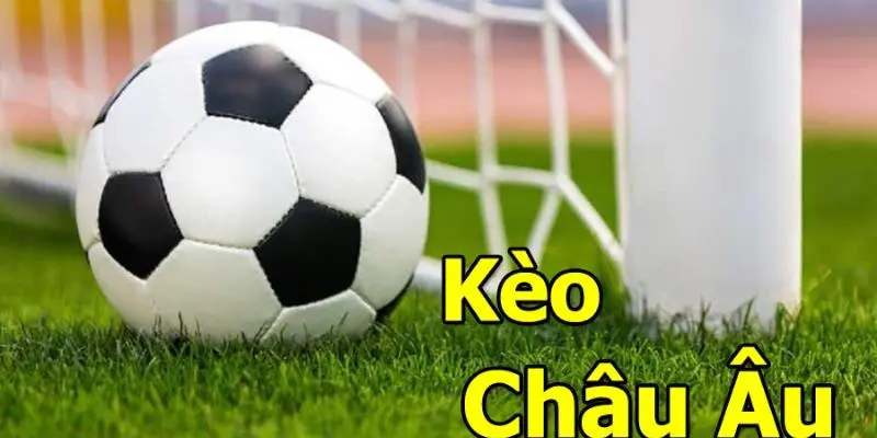 Cách đọc tỷ lệ kèo 1x2 chi tiết nhất